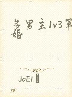 多男主1v3军婚
