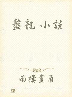 盘龙 小说