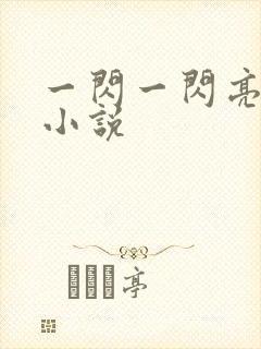 一闪一闪亮星星小说