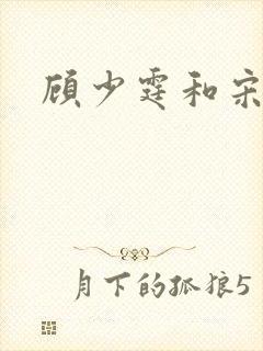 顾少霆和宋斯曼