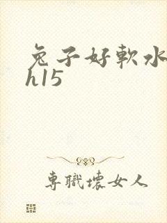 兔子好软水好多h15