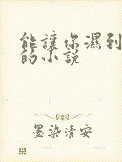 能让你湿到不行的小说