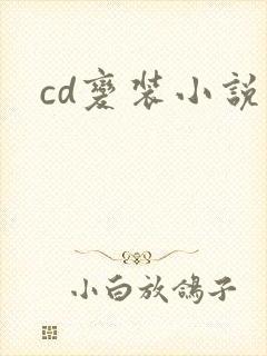cd变装小说