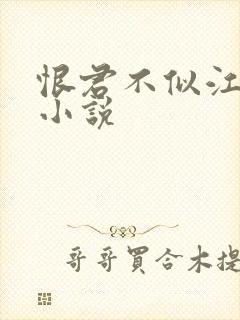 恨君不似江楼月小说