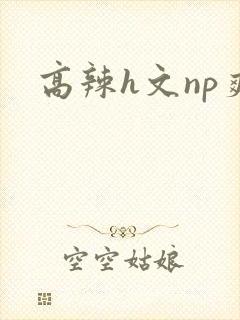 高辣h文np爽