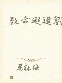 致命邂逅刘小寐