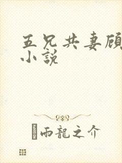 五兄共妻顾心儿小说