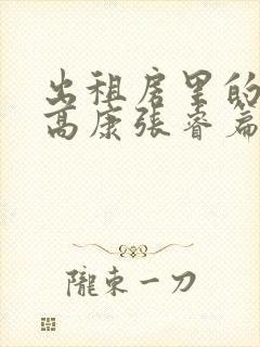 出租房里的交互高康张睿篇