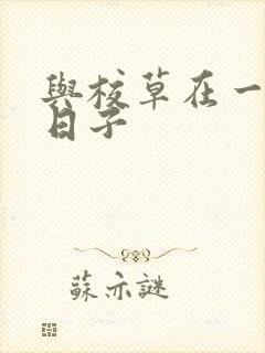 与校草在一起的日子