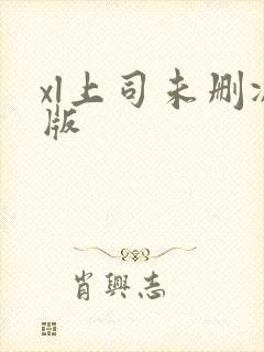 xl上司未删减版