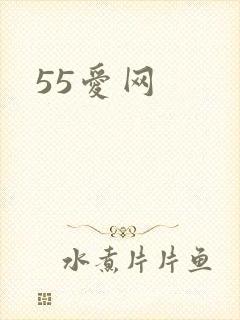 55爱网