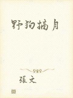 野狗摘月