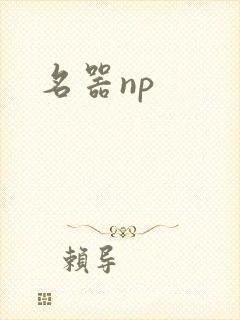 名器np