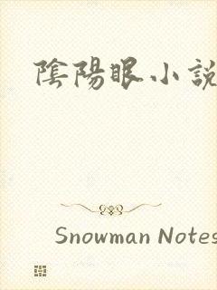 阴阳眼小说