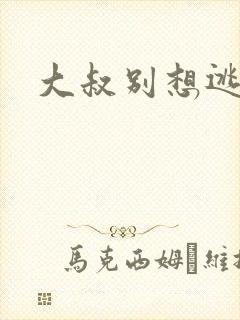 大叔别想逃