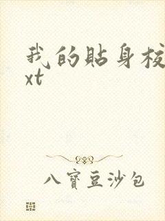 我的贴身校花txt