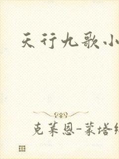 天行九歌小说