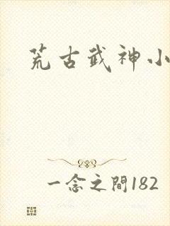 荒古武神小说