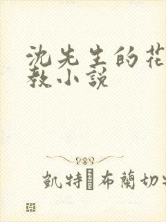 沈先生的花式管教小说