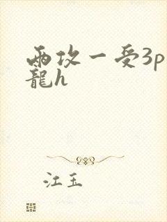 两攻一受3p双龙h