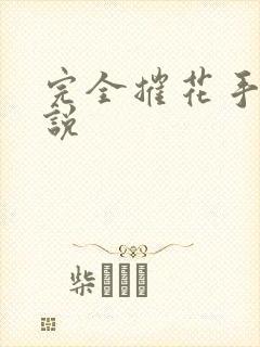 完全摧花手册小说