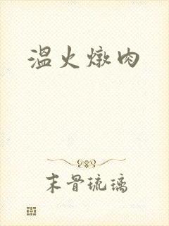 温火炖肉
