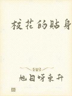 校花的贴身杀手