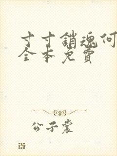 寸寸销魂何生祥全本免费