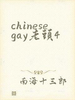 chinesegay老头4