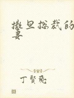 撒旦总裁的下堂妻