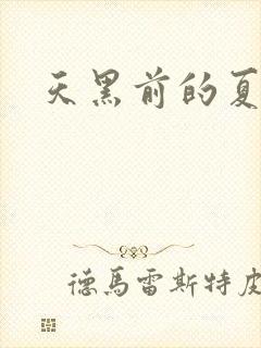 天黑前的夏天