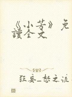 《小芳》免费阅读全文