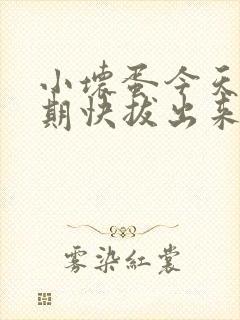 小坏蛋今天危险期快拔出来