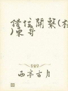 错位关系(校园)东哥