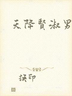 天降贤淑男小说