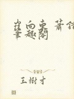 崔向东 萧错 笔趣阁