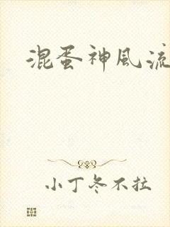 混蛋神风流