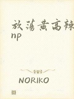 放荡黄高辣h文np