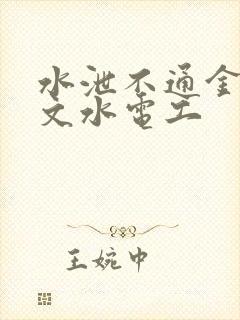 水泄不通金银原文水电工