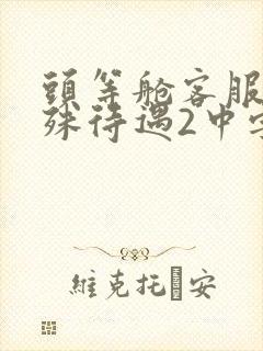 头等舱客服的特殊待遇2中字