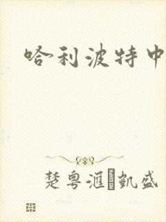 哈利波特中文版