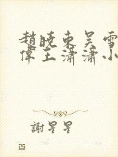 赵晓东吴雪晴郑伟王潇潇小说