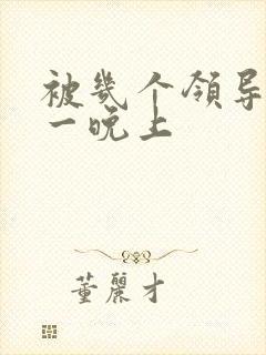 被几个领导玩弄一晚上