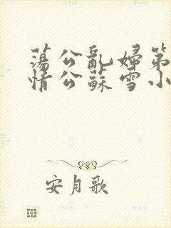 荡公乱妇第1章情公苏雪小说