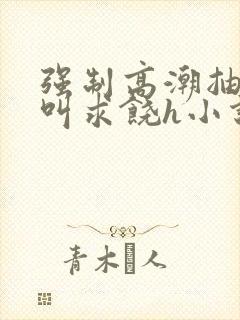 强制高潮抽搐哭叫求饶h小说