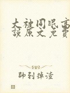 大被同眠高粱小说原文免费阅读