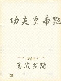 功夫皇帝艳福星