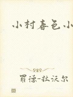 小村春色小说