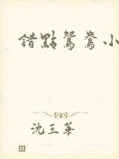 错点鸳鸯小说