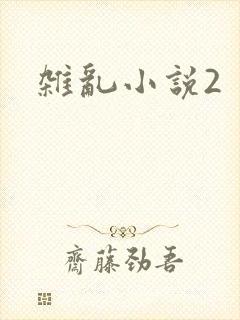 杂乱小说2